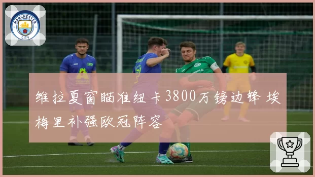 维拉夏窗瞄准纽卡3800万镑边锋 埃梅里补强欧冠阵容